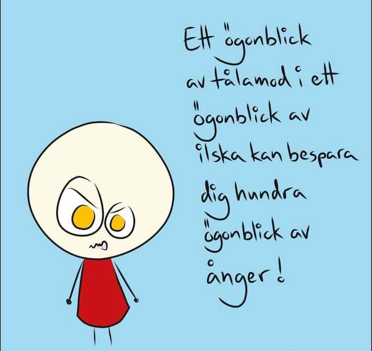 MagnusStagmo's tweet photo. Kvällens tanke... https://t.co/UD9OsvbTnc