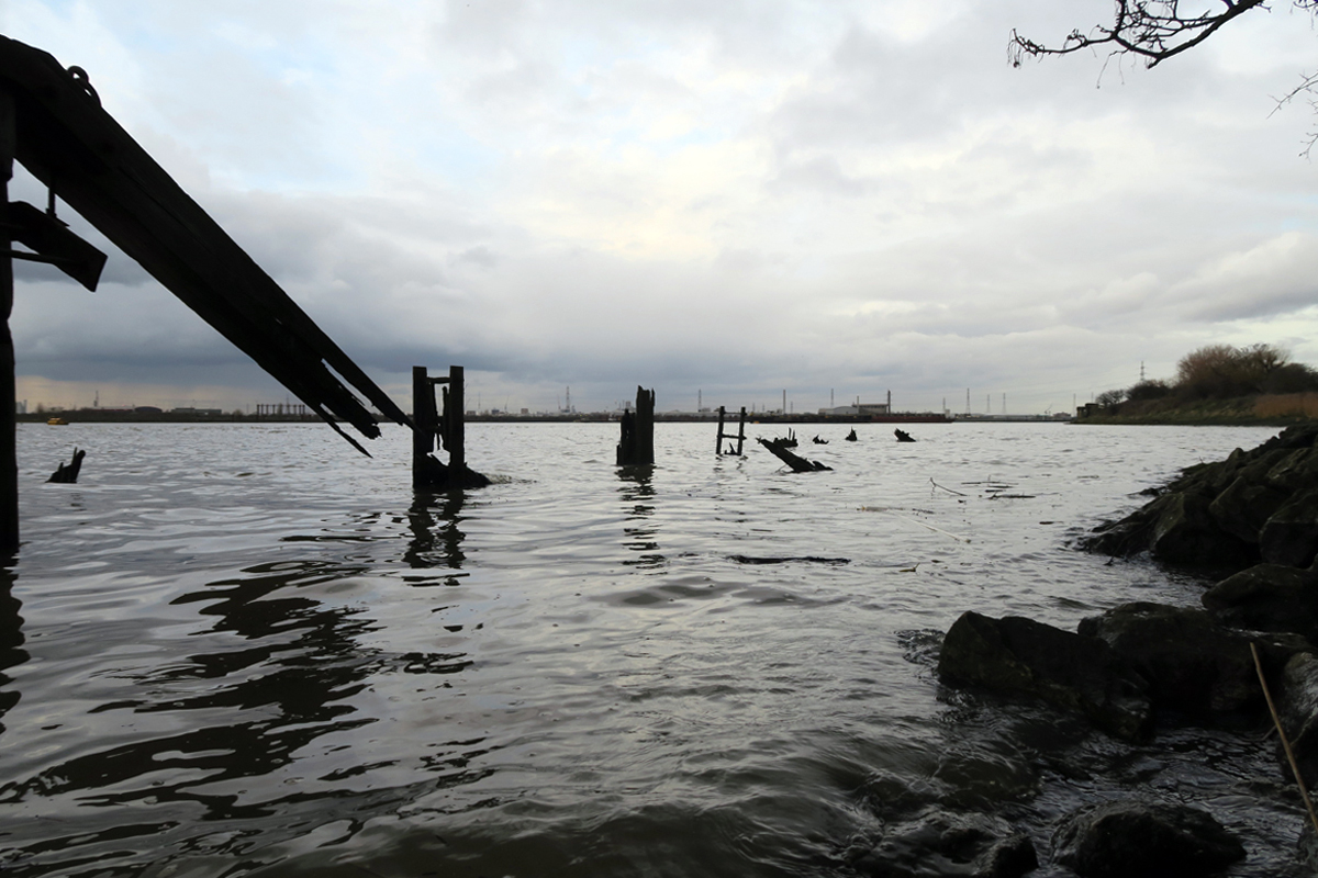 iantokelove's tweet photo. Cycling downriver. Nervous crack willow whisper as they await the developer’s axe. A wooden gridiron, forever drowning under a century’s relentless tides. At Erith a peace pipe watches Rainham landfill & at Crossness, modern treatment tanks scrub our sewage #Thames #RemoteLondon https://t.co/UeaSVmKvTO