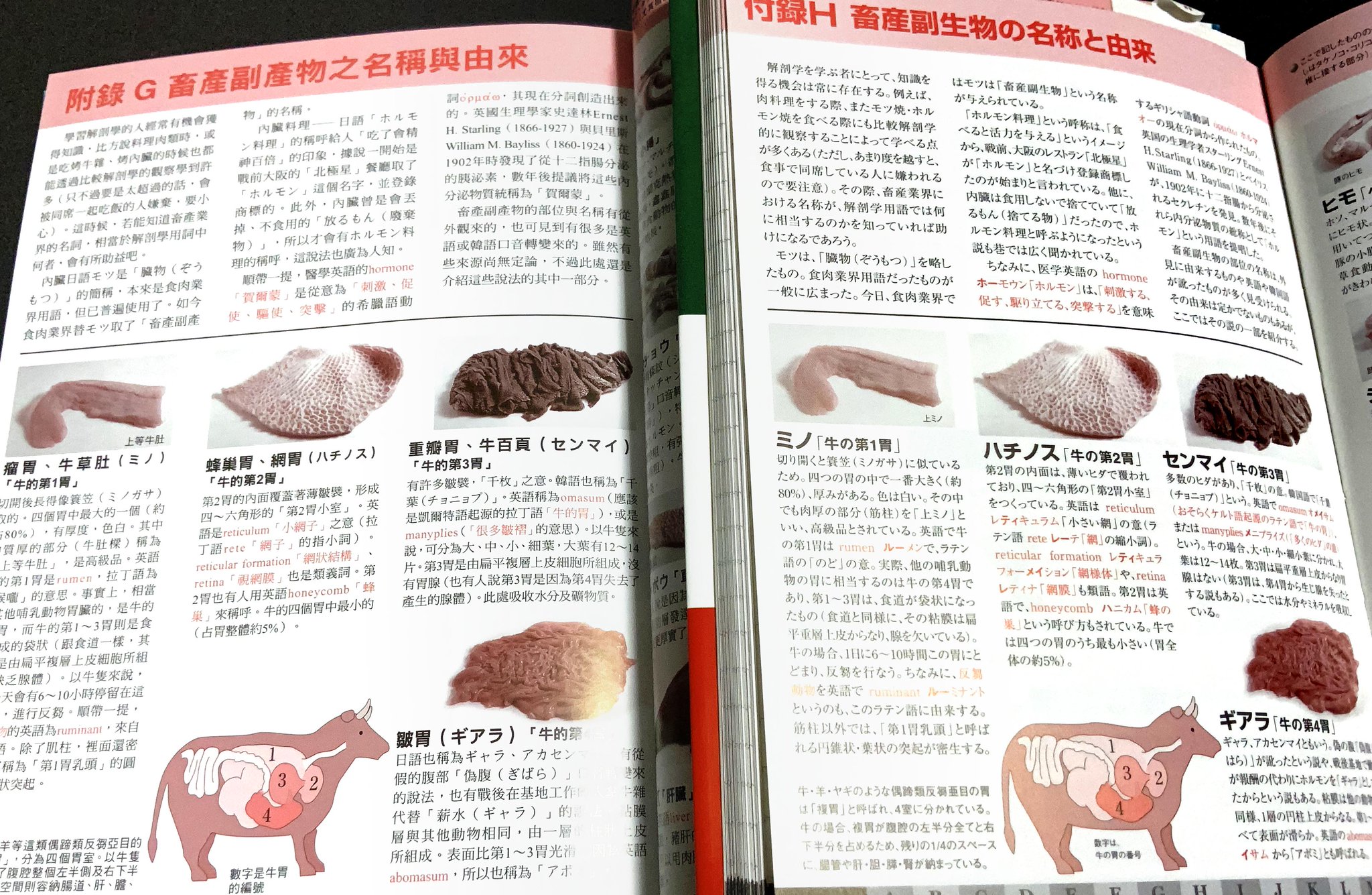 原島広至 公式 Twitter પર 臓単 には付録にホルモンの名称特集を載せています さてシビレ コブクロ テッポウ ギアラはどこでしょう 牛の第三胃の センマイ 千枚 が 中国語の繁体字では 牛百頁 だったとは 数が1 10に減ってる 臓単 繁体 原島広至 公式 Twitter પર 臓単 には付録にホルモンの名称特集を載せています さてシビレ コブクロ テッポウ ギアラはどこでしょう 牛の第三胃の センマイ 千枚 が 中国語の繁体字では 牛百頁 だったとは 数が1 10に減ってる 臓単 繁体