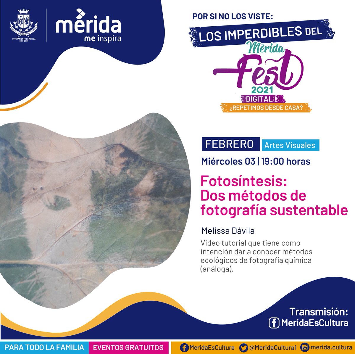 MeridaCultura1's tweet image. Arte para disfrutar desde casa. Comenzamos hoy con un tutorial sobre 2 procesos de fotografía sustentable y una propuesta inclusiva de danza.
Sígue las transmisiones a las 7pm. y 9pm. en el Facebook Mérida Es Cultura #Imperdibles #MéridaFest #ProgramaciónDigital