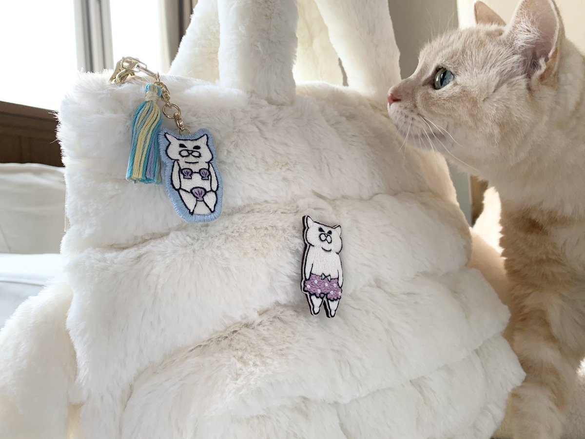 myuusj's tweet photo. 愛しきにゃんこ👙🩳
#猫好きさんと繋がりたい
#にゃんこ #cat #猫
#MENTEA https://t.co/9CzUVkZ6GB