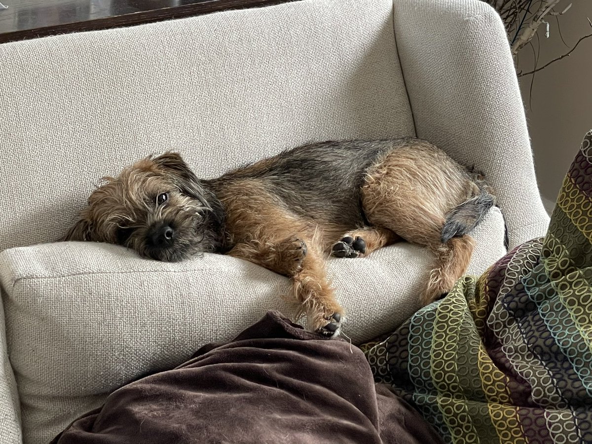 Pals, I am eggsausaged for a busy long weekend hopping though the snow and playing nurse to Hoomum. Having a me day.