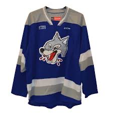 wallnut10's tweet photo. @HayesTSN “ leafs retro”ooked like the sudbury wolves all night https://t.co/nDgQxPIG7F