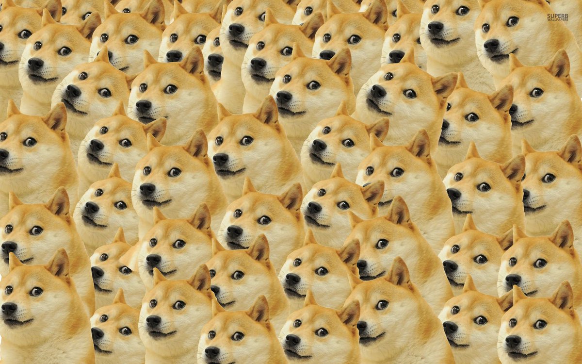 DogecoinRise's tweet image. #DogeArmy Trending. Let’s Get To #1   #Dogecoin 🌎🚀🌕