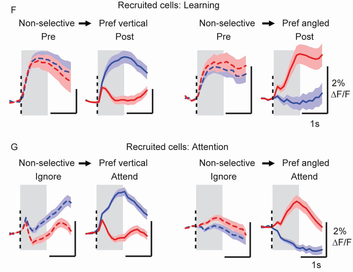 What do these distinct mechanisms look like? This is of course a huge question. Here is our 2c worth: First, the increased selectivity after learning mainly arose from selective suppression of responses but from selective enhancement as well as suppression during attention