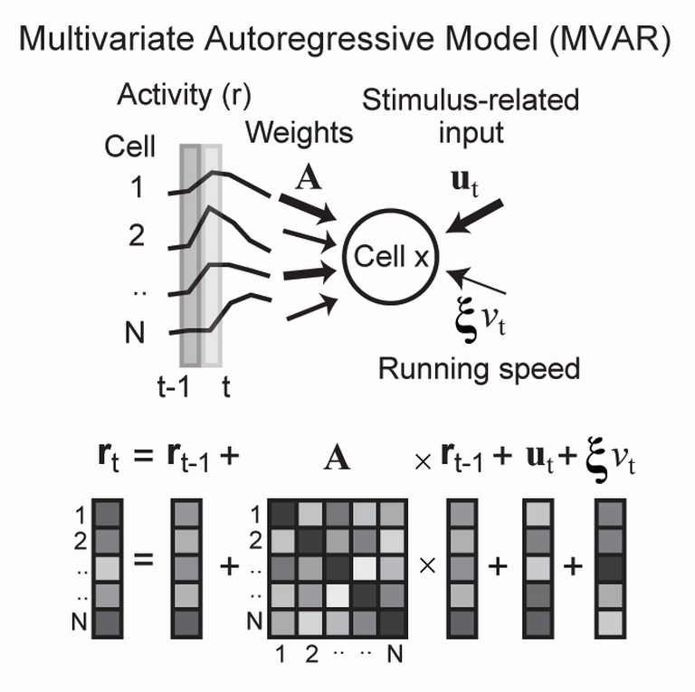Finally, computational modeling indicated that learning relies on reorganization of functional interactions in the local circuit, but attention relies on multiplicative top-down signals that target specific cell-classes.