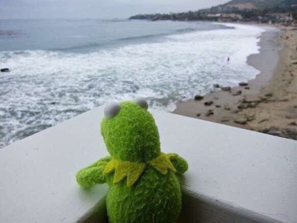 THDRSTAR's tweet image. 