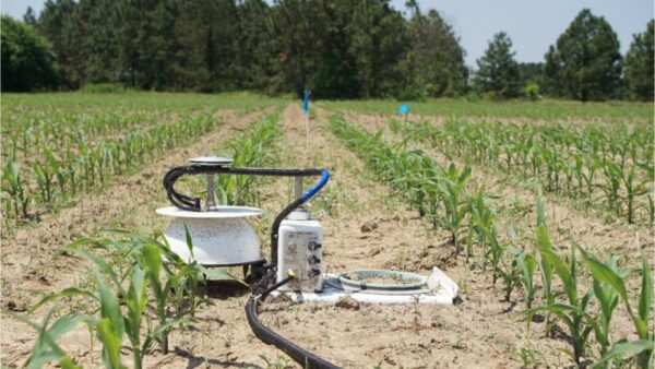 Postdoctoral position available in the Sustainable Soils Lab focused on GHG emissions and soil carbon dynamics in ag systems. Please share. sustainablesoils.wordpress.ncsu.edu/assistantship-…
