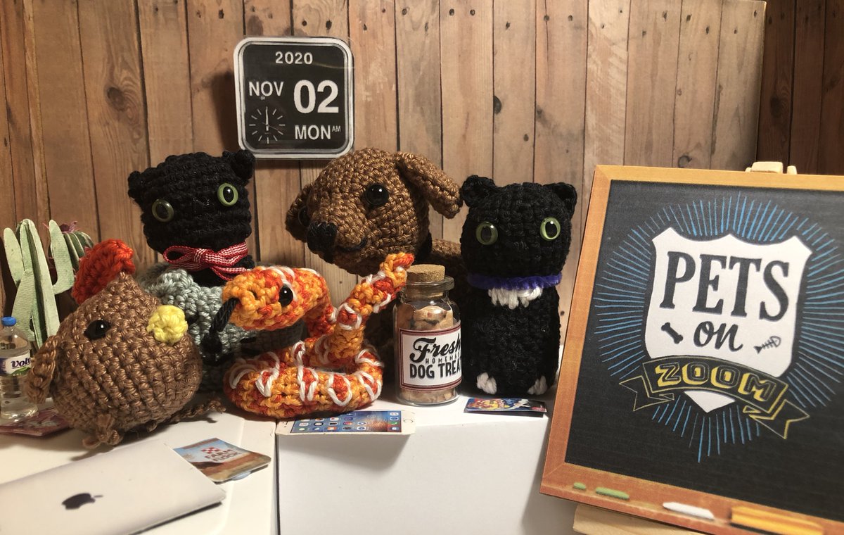 Pets on Zoom #Cats #dogs #chickens #snakes #craft #crochet #miniature #Amigurumi
