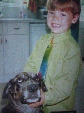 Harry Styles and dogs. A thread.