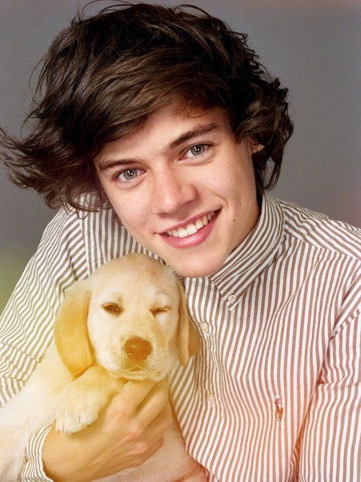 Harry Styles and dogs. A thread.