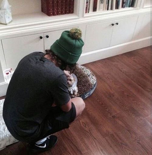 Harry Styles and dogs. A thread.