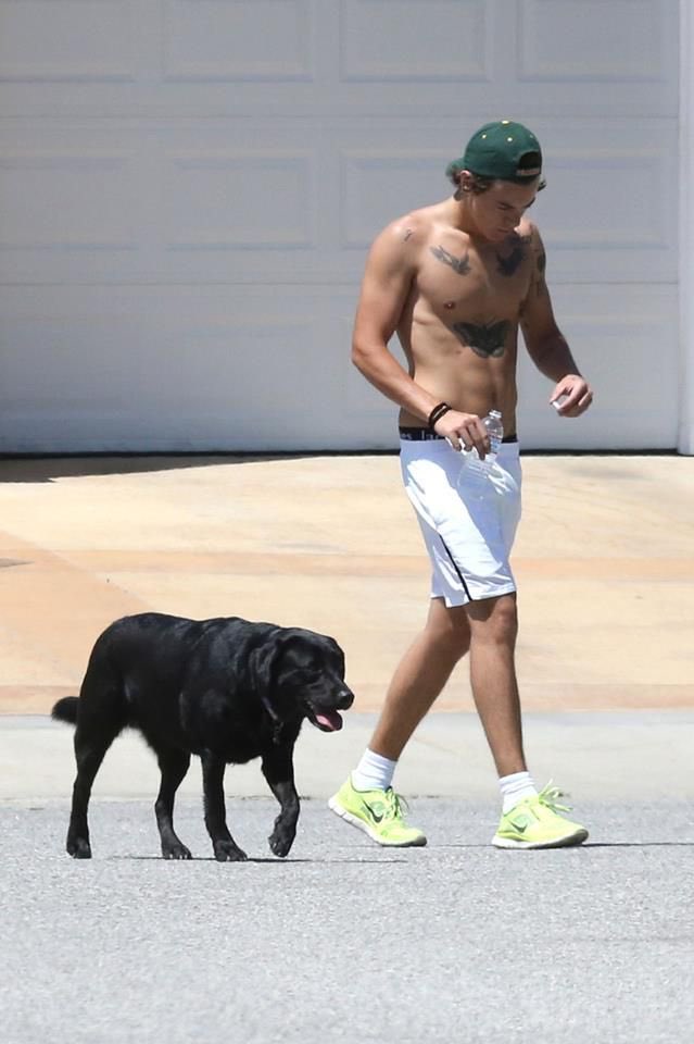 Harry Styles and dogs. A thread.