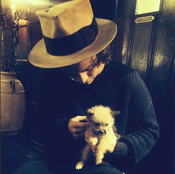 Harry Styles and dogs. A thread.
