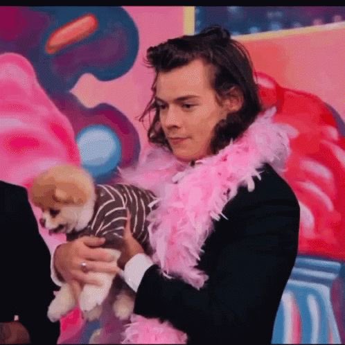 Harry Styles and dogs. A thread.
