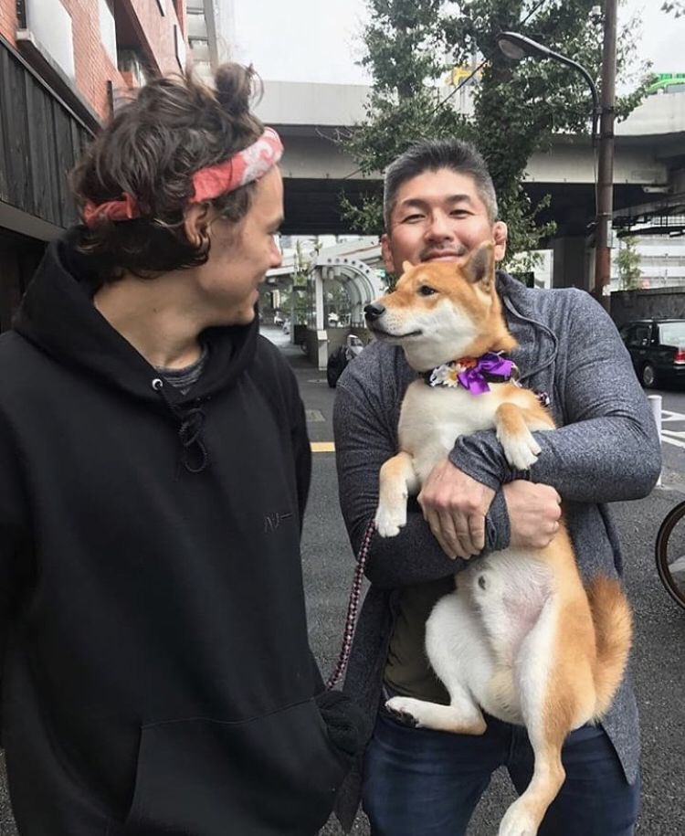 Harry Styles and dogs. A thread.