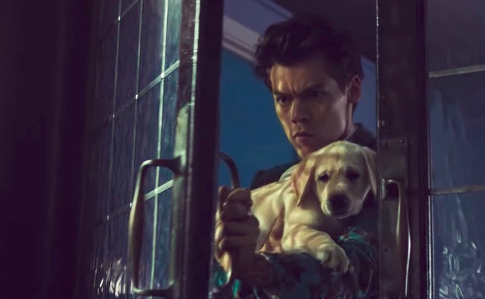 Harry Styles and dogs. A thread.