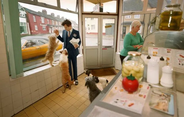 Harry Styles and dogs. A thread.