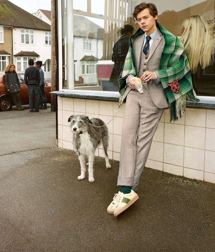Harry Styles and dogs. A thread.