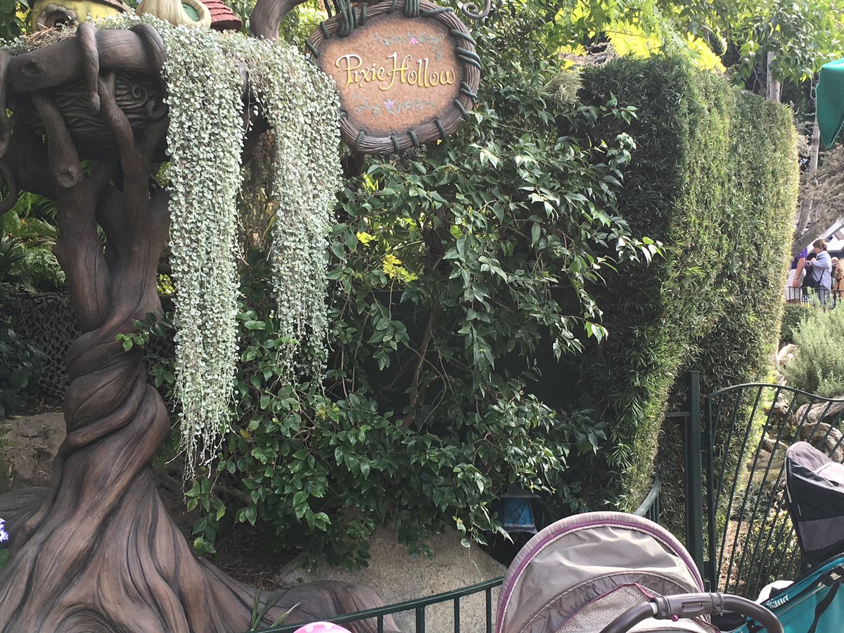 MeanwhileATP's tweet photo. We talked about a lot of things on episode 92 this week as usual. One of the topics that came out of listener feedback was the #HouseOfTomorrow in #Disneyland . @TempusFutile provided some pictures from 2016 of what is left of this iconic structure.
https://t.co/i11VDJjOLH https://t.co/zJYTd1YHLQ