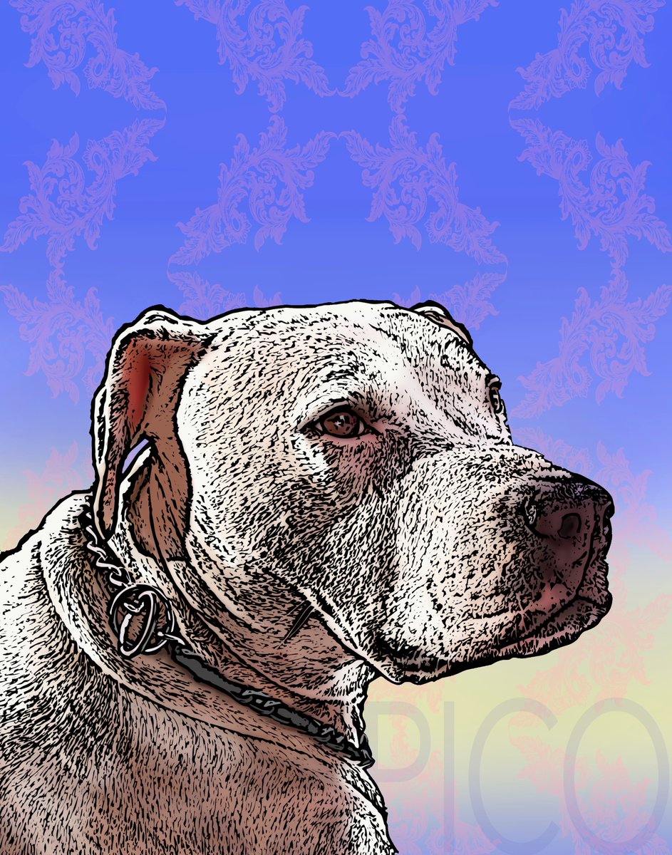 Kimball Hall (@kimballhallfoto) on Twitter photo 