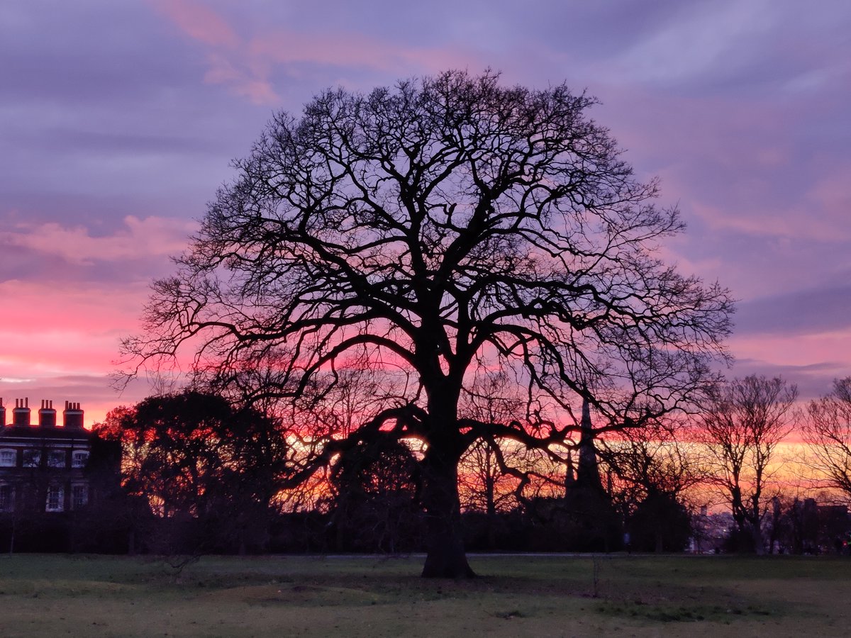 Also, shameless plug: I have a postdoc and tech position open in my lab at King's College London, please write to me if you are interested! Here is a neuron-tree from Greenwich today, just for fun