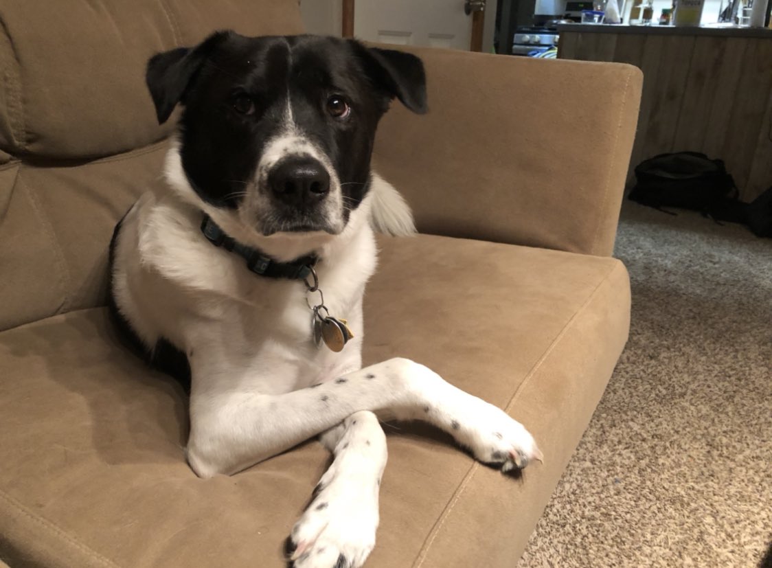 Chris Polansky tweet media