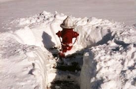 Reminder: Snow Removal + Business District On-Street Parking Closures Tonight! conta.cc/2Mxtpnp