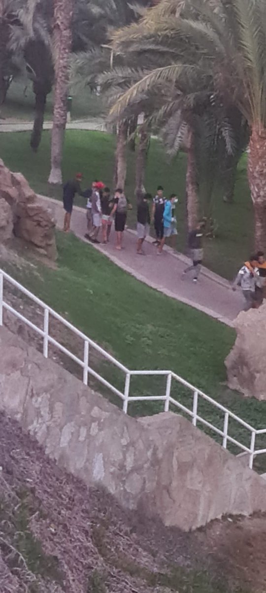 de_vecinal's tweet image. Mientras sacan y los trasladan a otras zonas de la isla, a otros, los siguen metiendo en sus aposentos de sol y piscina. Imágenes de Arguineguin Park y zona de puerto Rico.