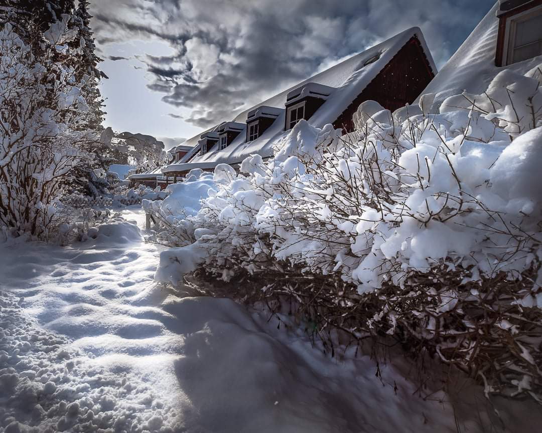 kebos81's tweet photo. Winner on the city #jordbro , more in my IG @kebos81 
#landscapephotography #swerige #winterview #SnowSweetSnow https://t.co/cxfxKQjvlL