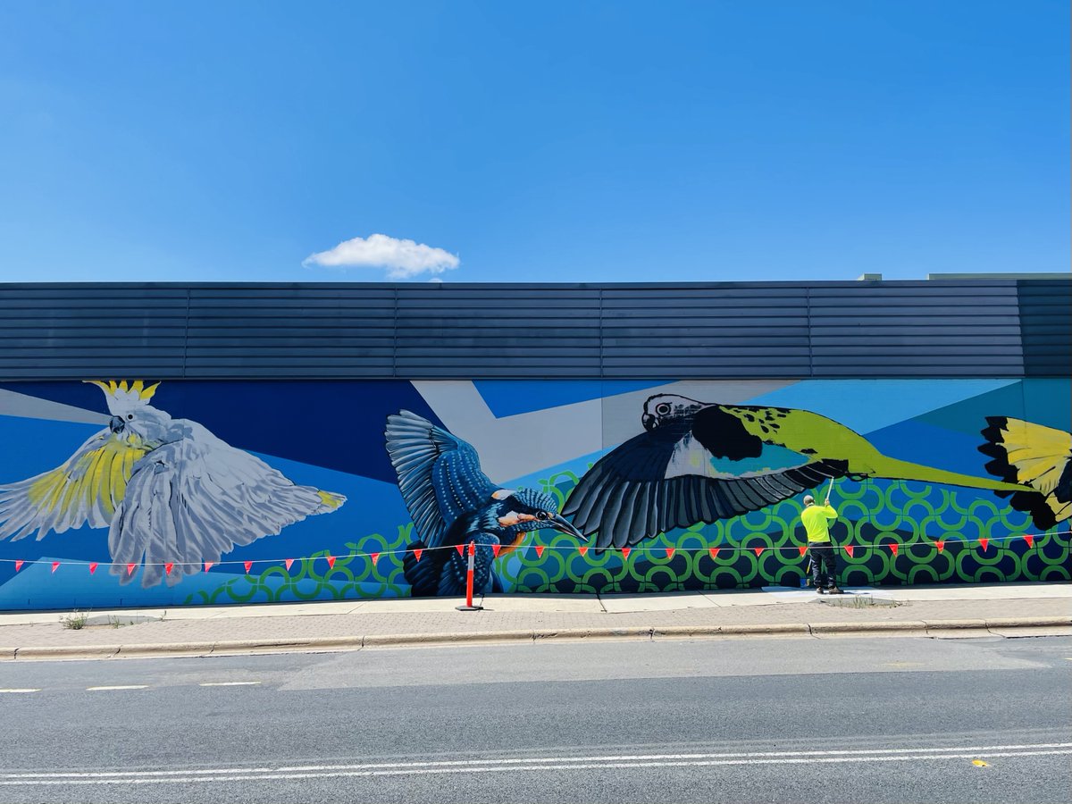 Adrienne Francis (@adifrancisabc) on Twitter photo Check out this new 60m long #mural taking flight in Weston. #Canberra #artists BYRD & Stylised Impact have been #painting together for more than 20 yrs. BYRD spoke to me about "(People) Love Birds" for <a href="/abccanberra/">ABC Canberra</a> ab.co/3pOEQFL #VisualArt #graffitiart <a href="/SonglandRecords/">Songland Records</a> Check out this new 60m long #mural taking flight in Weston. #Canberra #artists BYRD & Stylised Impact have been #painting together for more than 20 yrs. BYRD spoke to me about "(People) Love Birds" for <a href="/abccanberra/">ABC Canberra</a> ab.co/3pOEQFL #VisualArt #graffitiart <a href="/SonglandRecords/">Songland Records</a>