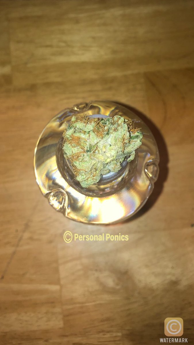 personalponics's tweet photo. 🗣🔥🔥🔥‼️#lesgrowtogether #bookontheway #ps5 https://t.co/VmqHzlvWs2