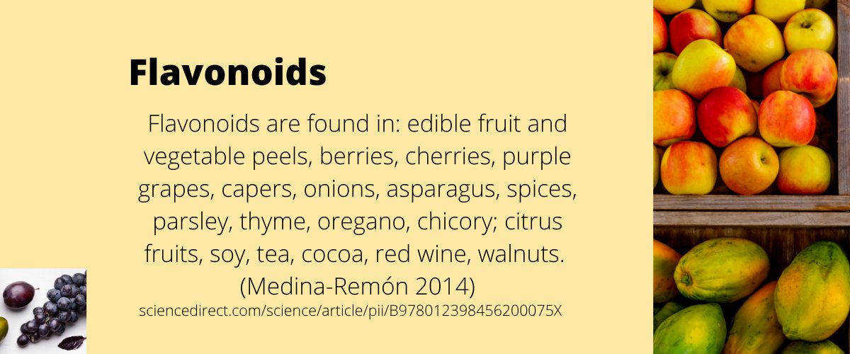  #Flavonoids include  #quercetin and have anti-viral and anti-inflammatory benefits. Thread:  https://twitter.com/deNutrients/status/1357069208853569536?s=20Link from the image: https://www.sciencedirect.com/science/article/pii/B978012398456200075X