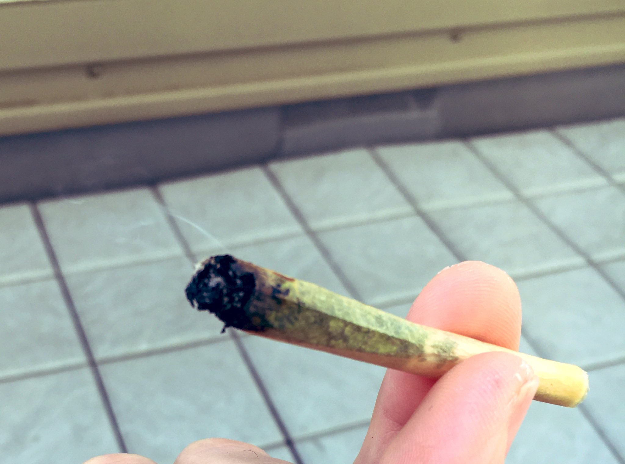 麻皇購入者レビュー Twitter