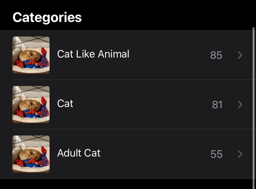 HeatherMonahan_'s tweet photo. My phone thinks #ChanceThePupper is a cat π https://t.co/iduHd8bWua