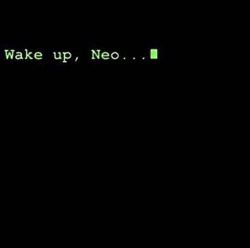 Archillect (@archillect) on Twitter photo 