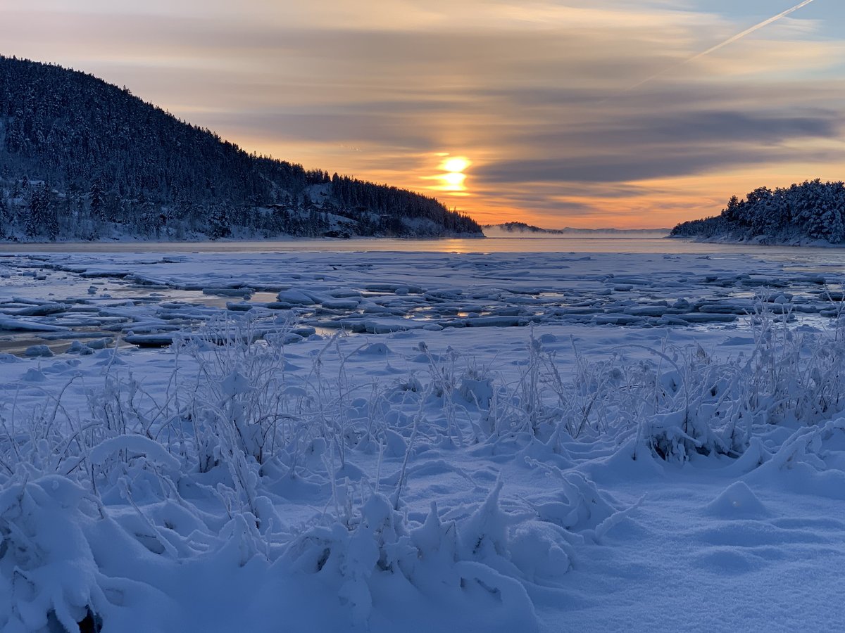 Øystein Baadsvik tweet media