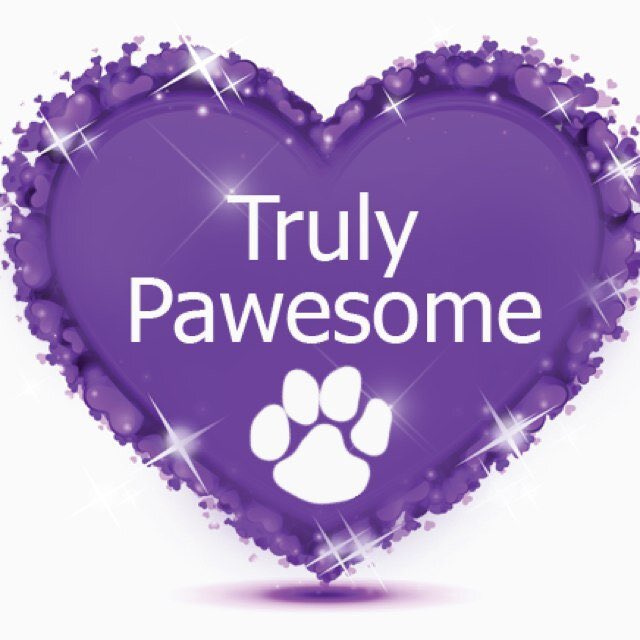 Do you know that we have recognized 509 students, 34 parents and 164 staff members for being Pawesome and modeling the Model Bear way?  Way to go Bradach Community!!!