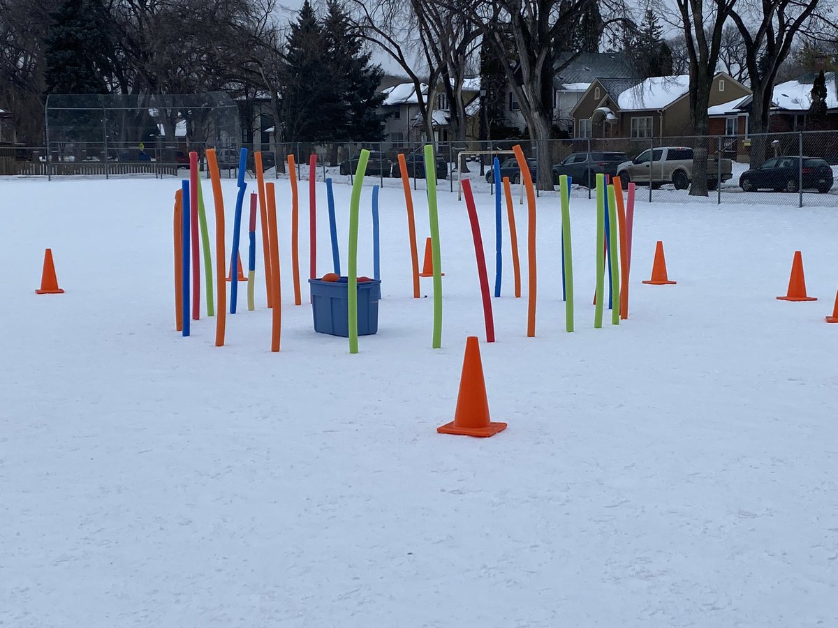 LoriGruhn's tweet photo. Thank you @Matulisj for the driveway marker idea with pool noddles. Used it to create a cave for a throwing & catching game today. Lots of creative possibilities! #peoutside @WinnipegSD https://t.co/9Gxobk3atx
