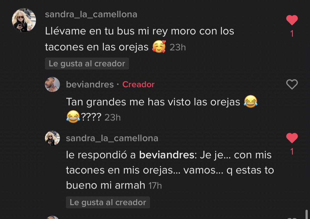 beviandres tweet media