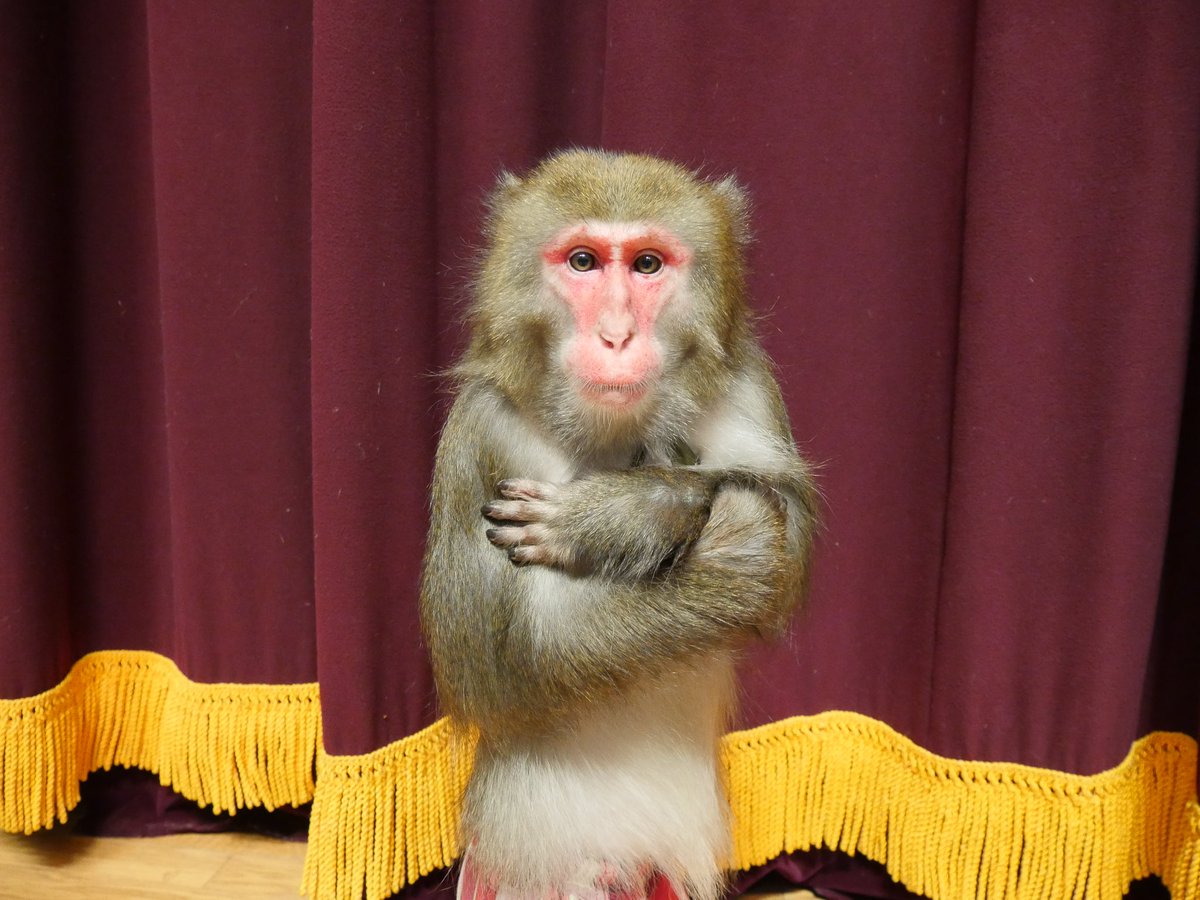 カイ君ページ EtVy7HzVgAERj2Q.jpg?format=jpg