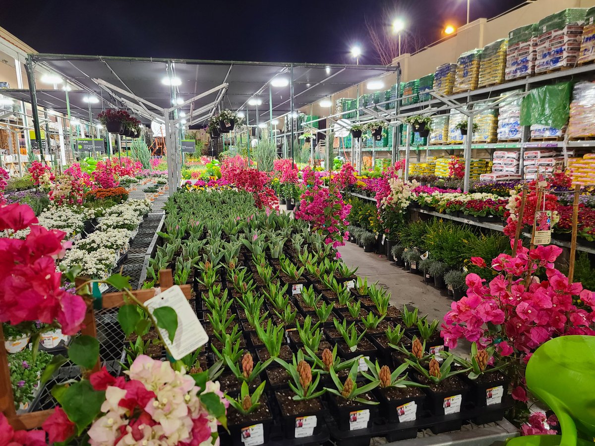 El Cerrito is ready for the big weekend! <a href="/sean_john5/">Sean Johns</a> @MiguelS07665812 <a href="/twylaroberson17/">twyla roberson</a>