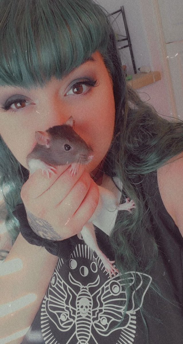 MissOddity5's tweet photo. My giiiirrrll 🖤🐭 

#ratmom #petrats #ratsoftwitter #buymysocks #payme #buymycontent https://t.co/zMoFAqX0rF