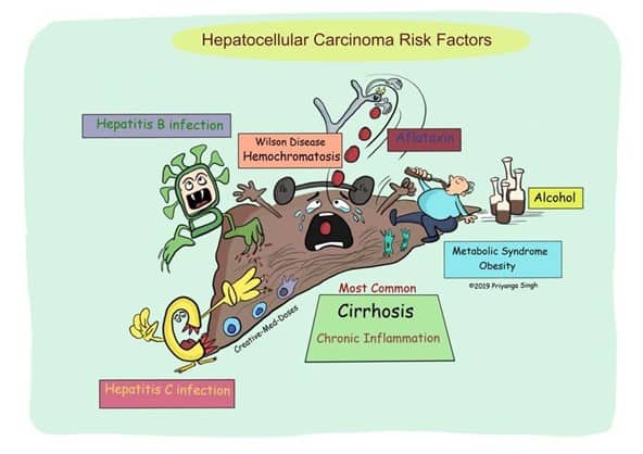 kriyer68's tweet photo. Not #pathtoons but close enough 😉
#livertoons #liverpath #GIpath 
Beautiful visual depictions by @Creativemeddose https://t.co/Oc0j8OrFLB