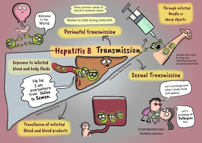 kriyer68's tweet photo. Not #pathtoons but close enough 😉
#livertoons #liverpath #GIpath 
Beautiful visual depictions by @Creativemeddose https://t.co/Oc0j8OrFLB