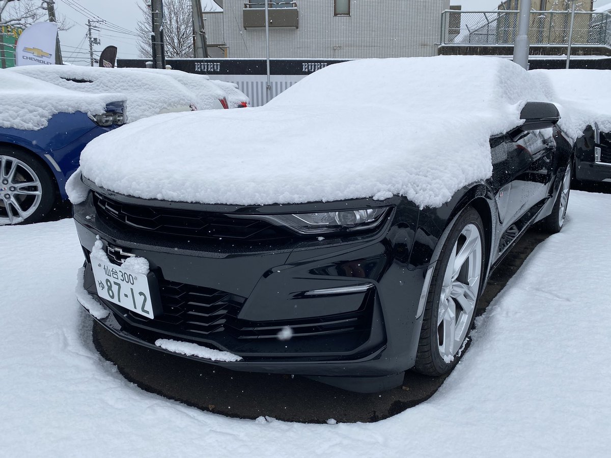 キャデラック仙台中央 シボレー仙台中央 こんな雪の日でもカマロの存在感強めです カマロの横に伸びるヘッドライトは鋭く力強い目力 さらにledヘッドランプにはデイタイムランニングライトを備え 昼夜問わず存在感を放ちます お問い合わせはお キャデラック仙台中央 シボレー仙台中央 こんな雪の日でもカマロの存在感強めです カマロの横に伸びるヘッドライトは鋭く力強い目力 さらにledヘッドランプにはデイタイムランニングライトを備え 昼夜問わず存在感を放ちます お問い合わせはお