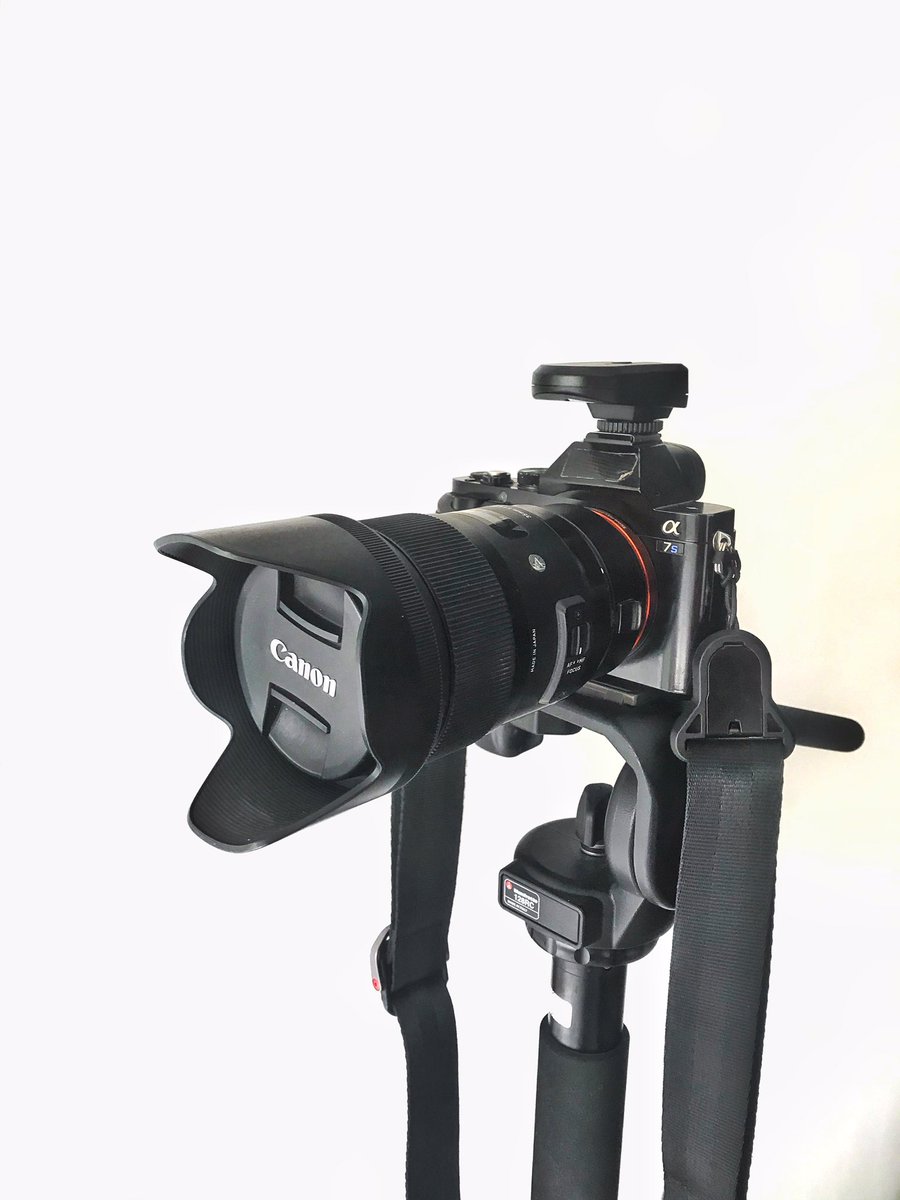 RotesStudio's tweet photo. For analog or digital photographers, we have spaces (indoor and outdoor) to rent for your preweds, band photos, products, basically any kinds of photography. Even for you who are just starting photography, let’s learn together!
#rotesstudio #photostudio #studioforrent https://t.co/w3TSYpLysv