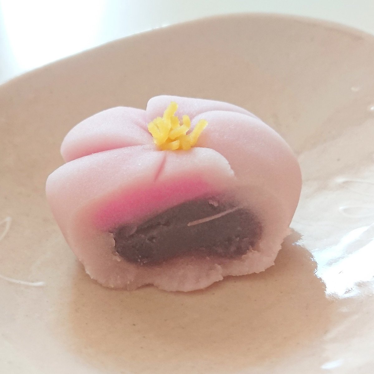 fontanina3's tweet photo. 昨日食べた梅の和菓子
立春に生菓子を食べると縁起がよいのだとか。
よい春になりますように✨
#和菓子
#springcomingsoon https://t.co/nnjvR6lEVm
