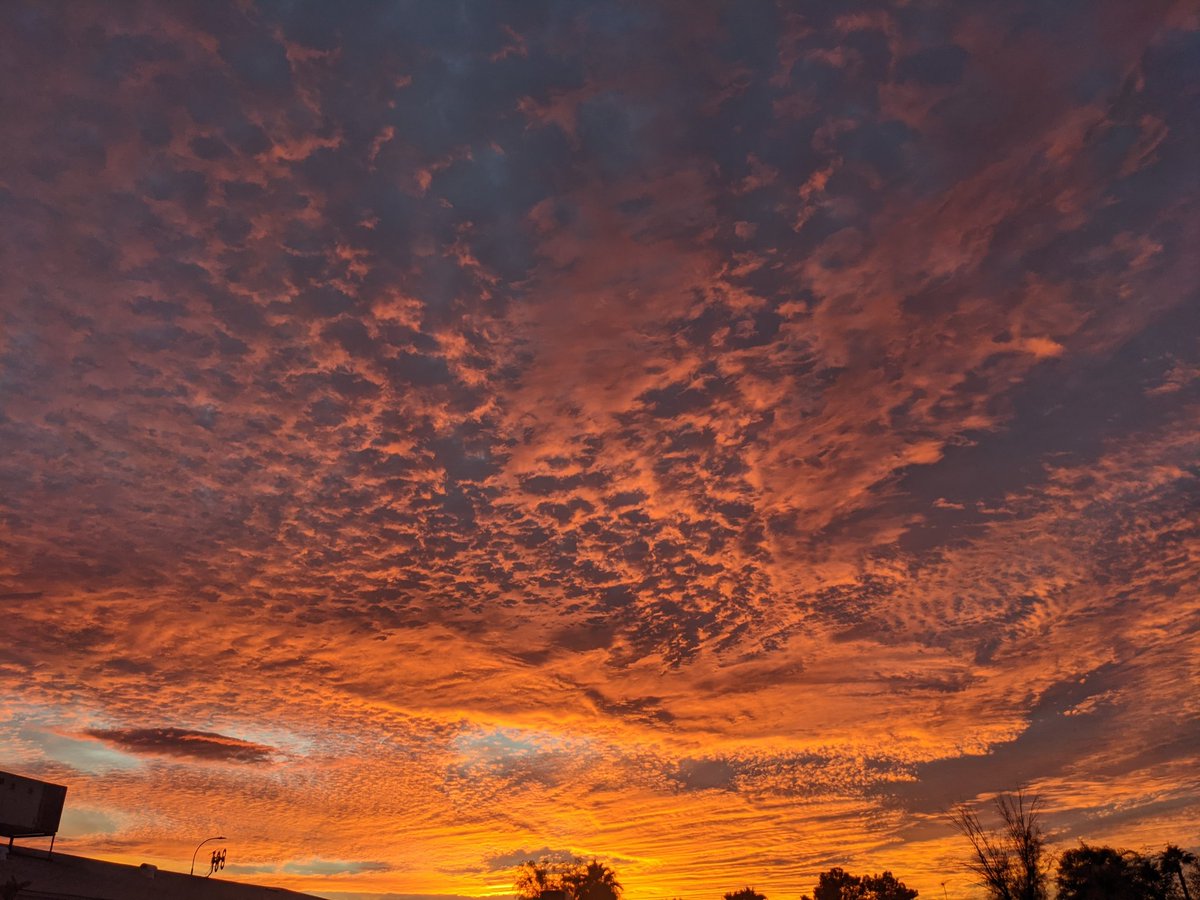 HerrKate's tweet photo. @NWSPhoenix Sunset Alert! https://t.co/Mok1gZVOD1