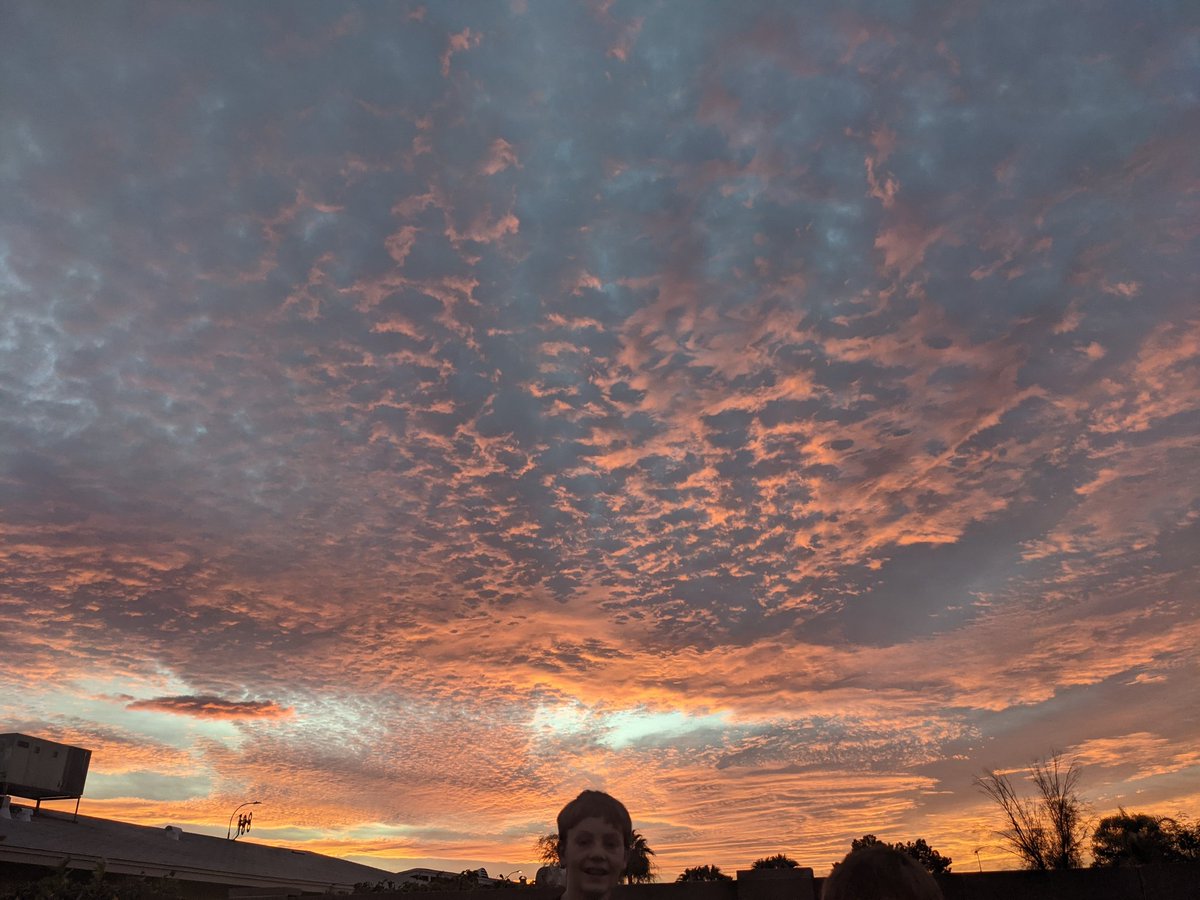 HerrKate's tweet photo. Sunset Alert! https://t.co/gA0vPBUuRv